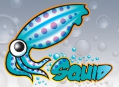 No, non è ancora il pesce d’aprile, ma fare restart di Squid cancella tutti i file su disco!