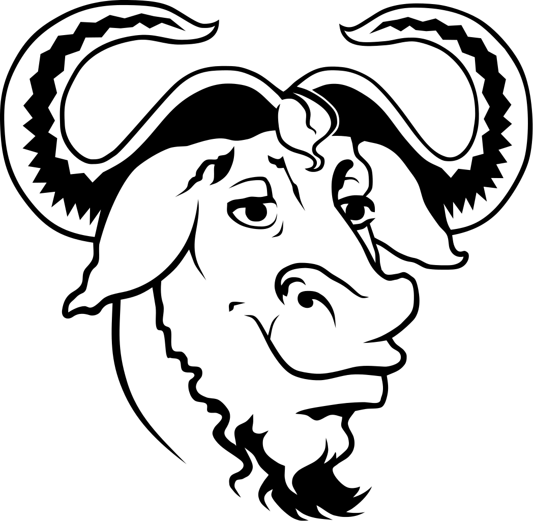 Richard Stallman pubblica il manuale, liberamente scaricabile, sul linguaggio GNU C
