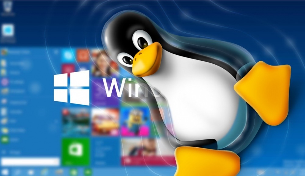 Windows 10 build 14251, tracce di Linux