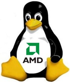 AMD sta assumendo per Linux