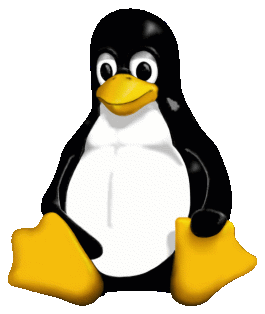 Il Kernel 6.13 è stato pubblicato da Linus Torvals, e grazie ad Intel e AMD che hanno corretto una patch Microsoft