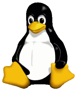 L’uso di Linux è crollato: colpa dello smartworking?