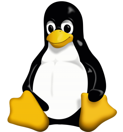 La versione 6.8 del Kernel Linux, con il driver Intel che rimpiazzerà i915 ed i suoi quasi dieci milioni di oggetti Git