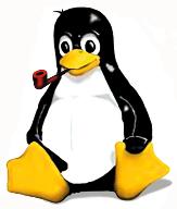 Qual’è l’età media del sysadmin Linux?