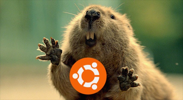 Ubuntu: LTS per S. Valentino