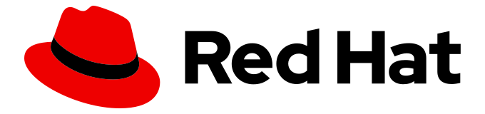 RedHat aggiorna il logo