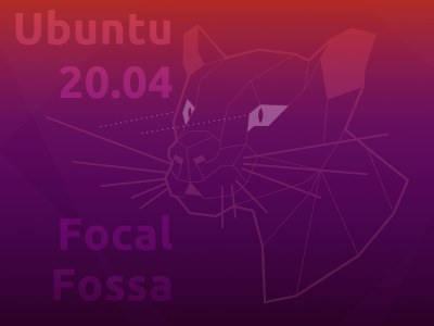 Qualche problema di sicurezza (già risolto) per il nuovo installer di Ubuntu 20.04 Focal Fossa