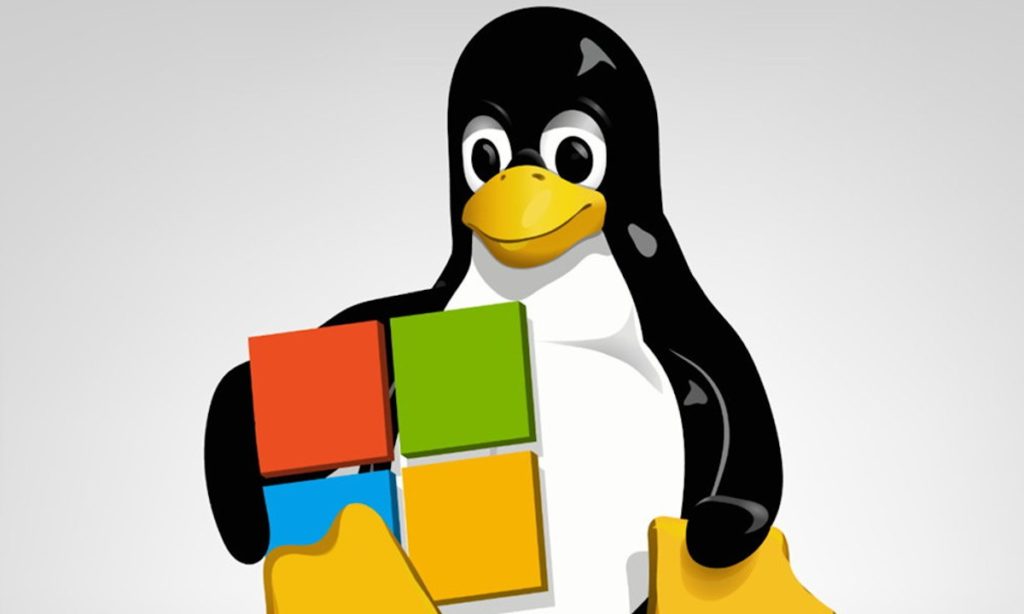 Linux su WSL2 ignora il firewall di Windows