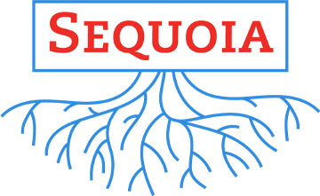 Sequoia, una vulnerabilità in salsa privilege escalation che colpisce tutte le distribuzioni Linux