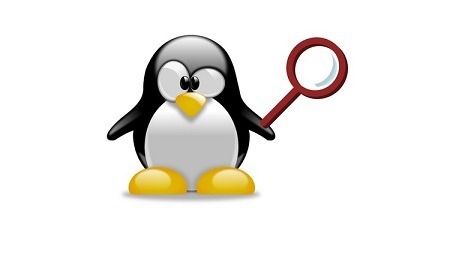 Vincere Wordle con Linux