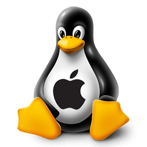 Linux gira anche sui vecchi iPad Apple