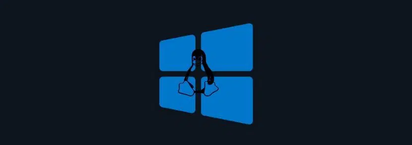 Canonical e Microsoft unite per la nuova fase di Windows Subsystem for Linux (WSL): systemd!