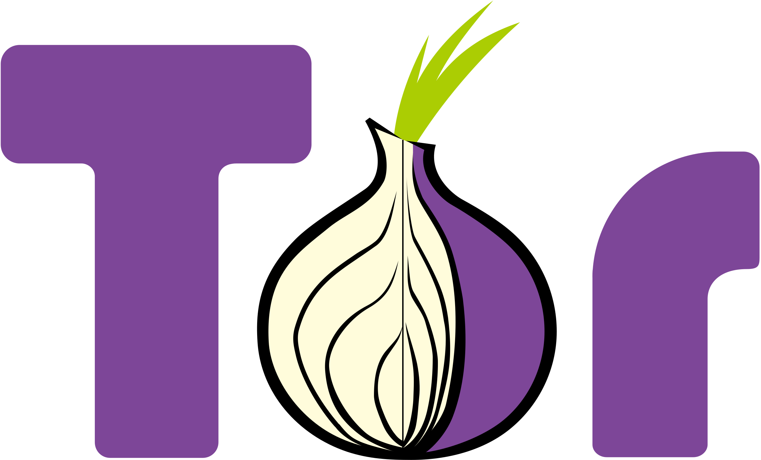 Tor: introduzione all’onion routing