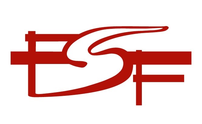 La Free Software Foundation attacca Raspberry Pi e l’impossibilità di aggiungere RAM